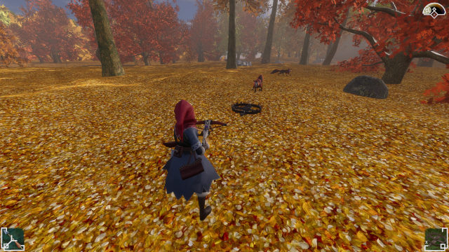 The hunter watches two foxes approach a trap laid on a clearing carpeted in golden leaves