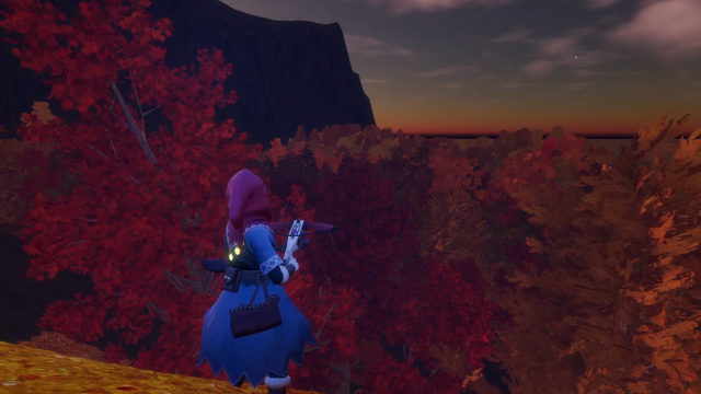 The hunter looks out over a valley of deep red canopy as the last daylight fades behind a headland